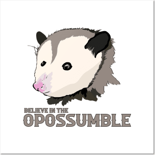 Believe in the Impossible Motivational Possum Posters and Art